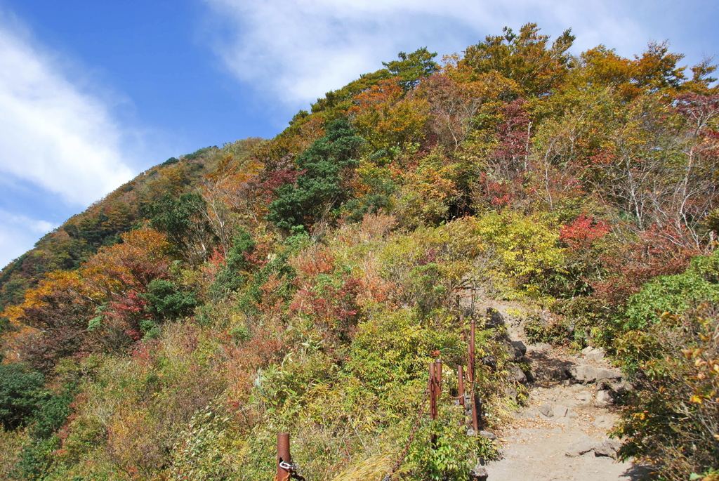 金時山3　尾根の紅葉