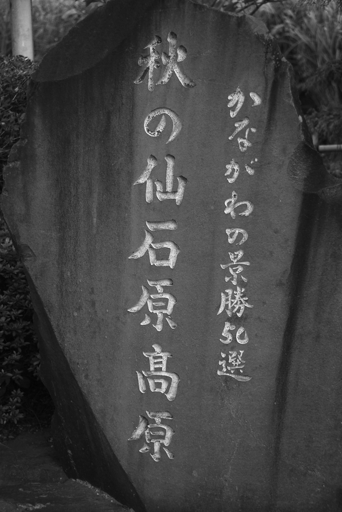 仙石原1