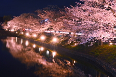 夜桜～松本城～