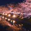 夜桜～松本城～