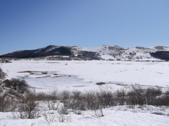 早春の八島湿原