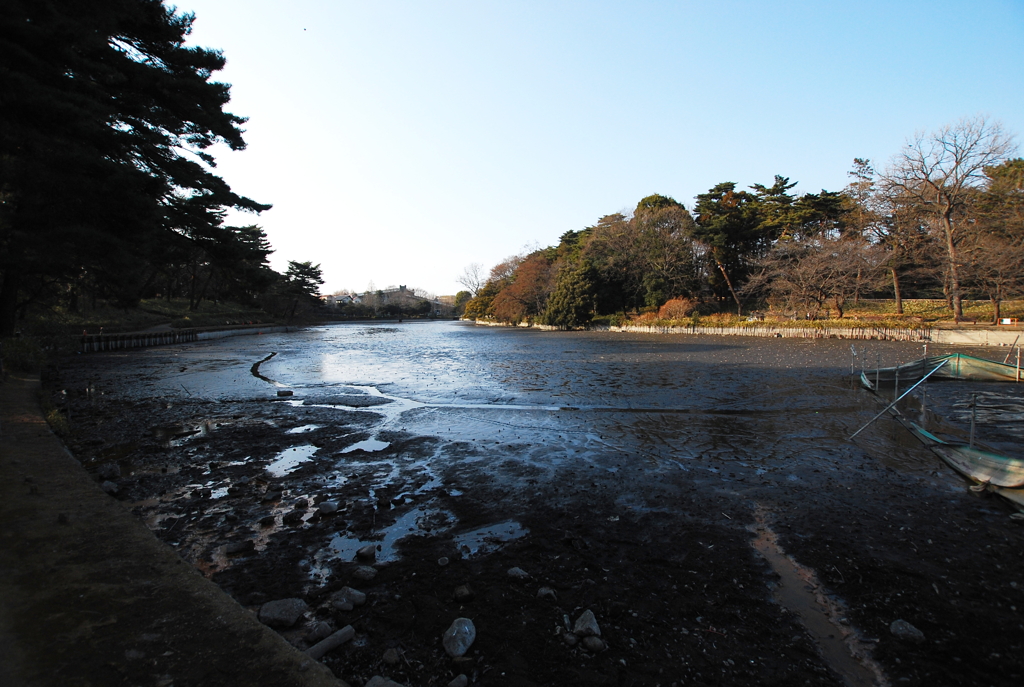 泥沼