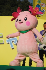 きみぴょん　ダンス3