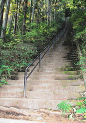 奥多摩・愛宕山への地獄階段