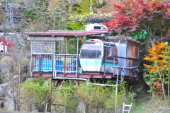 珍百景的写真