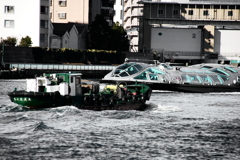 どちらがお好き？