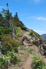 根子岳から四阿山への縦走路