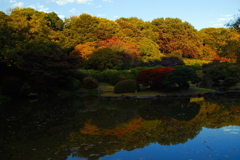 お気に入りな場所