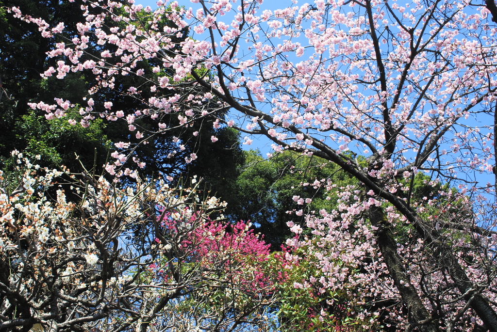 饗宴