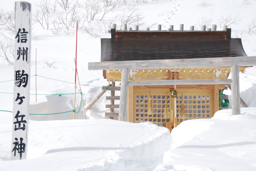 雪に埋もれて