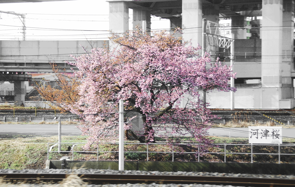 日本の車窓から５