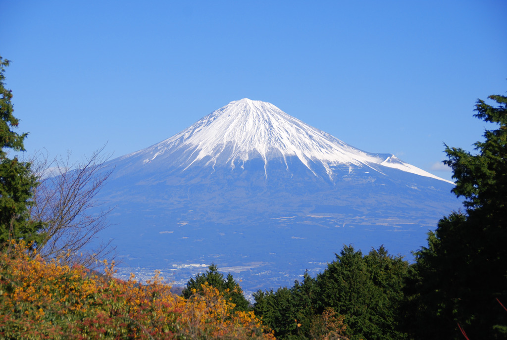不治（富士）の病にかかり　
