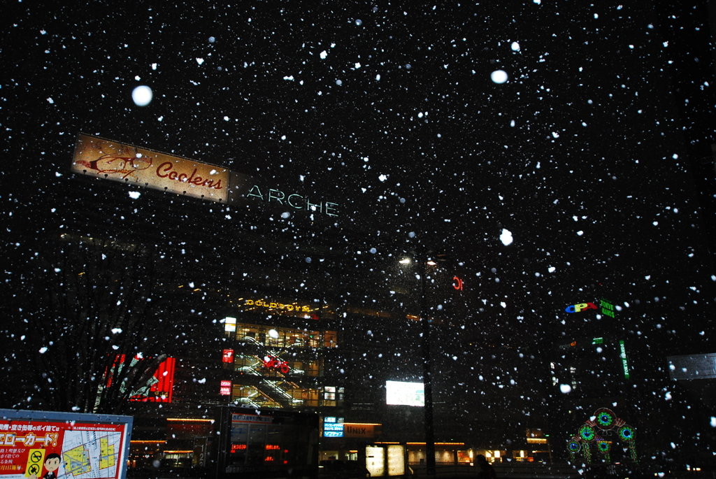 雪やこんこん♪