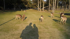 地デジ