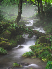 天然水の源