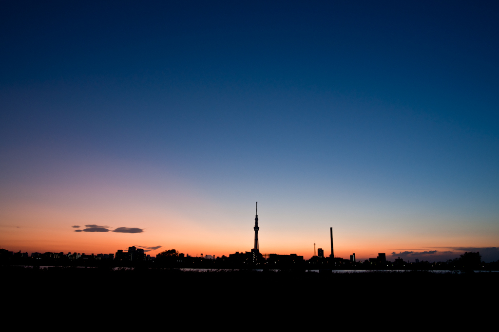 Tokyo twilight