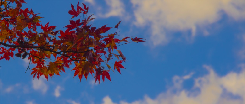 秋経つ空