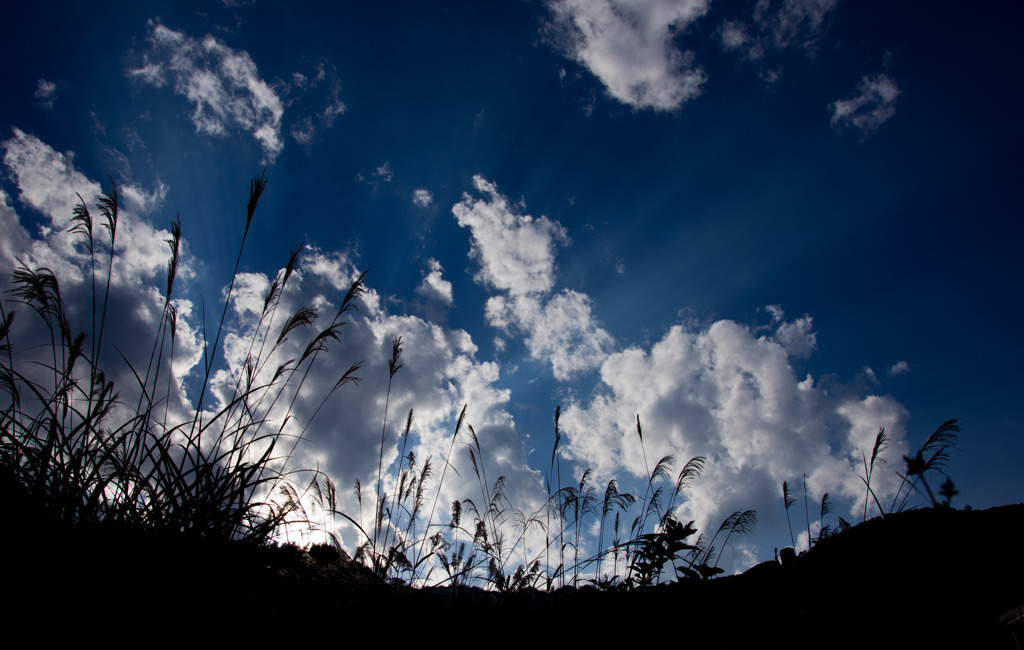 Fine autumn sky 