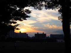 夕焼け
