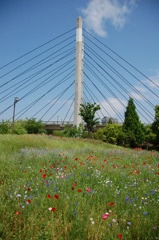 花と橋梁