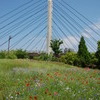 花と橋梁