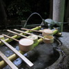 水亀さま？