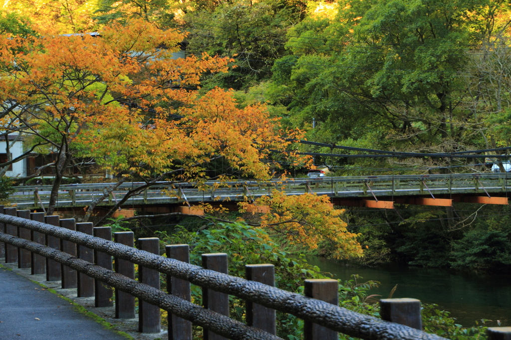 紅葉を待つ吊橋