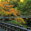 紅葉を待つ吊橋