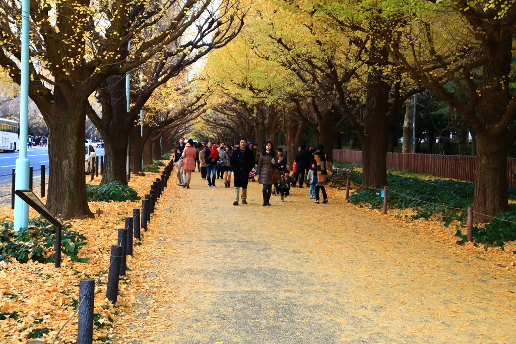 through a yellow path