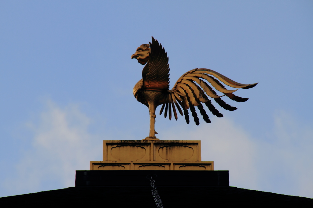 鳳凰