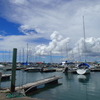 yacht harbor