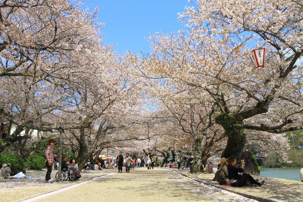 春の陽気