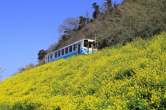 春を運ぶ風