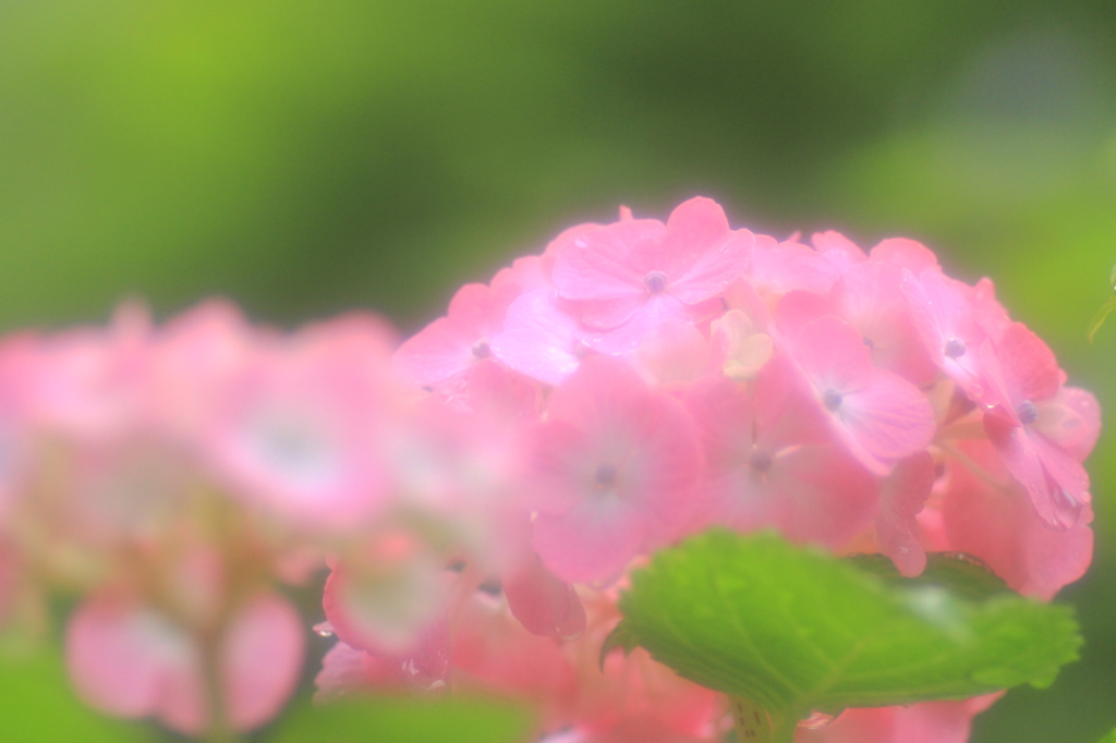 梅雨の合間に・・・