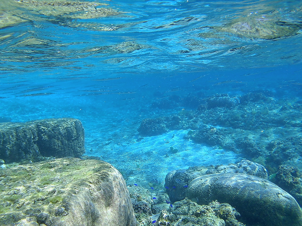 海中散歩