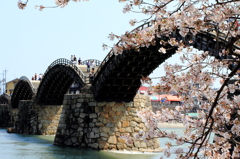 春の架け橋