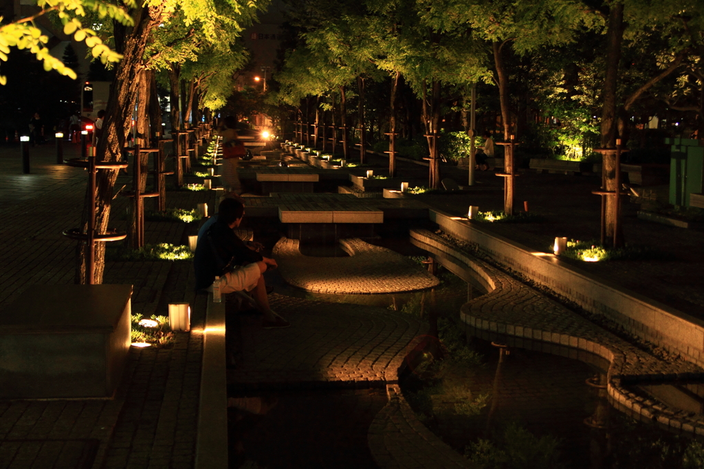 夜のpromenade
