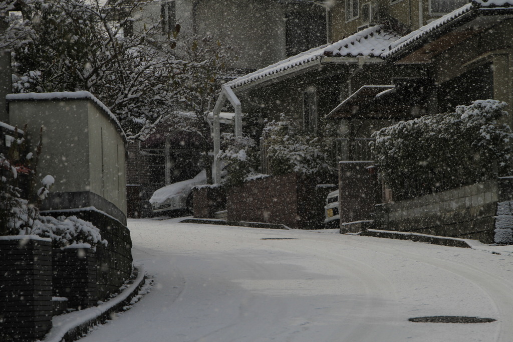 雪化粧