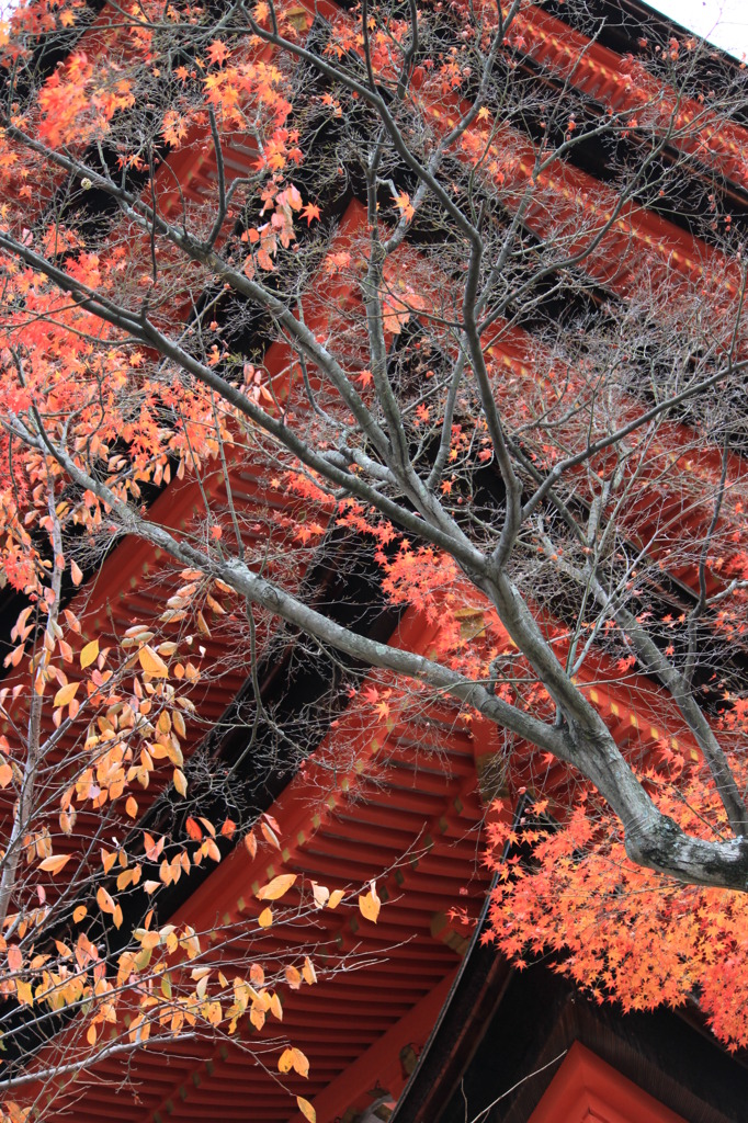 五重塔