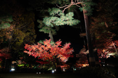 太田黒ライトアップ３