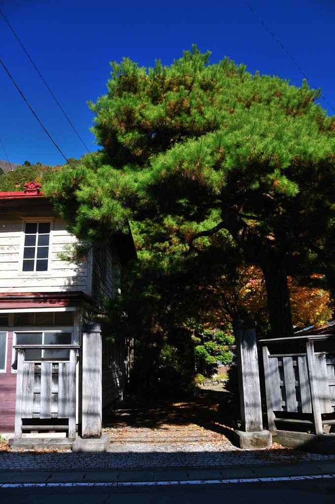 平成の中の大正