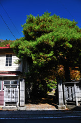 平成の中の大正