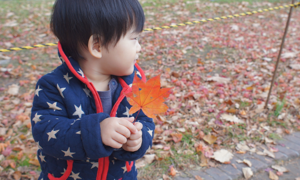 小さい秋　小さい秋
