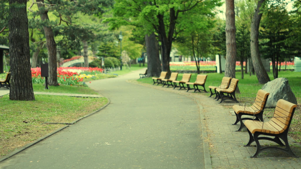 常磐公園散策　4