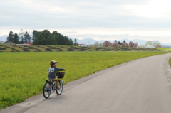 自転車日和