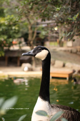 20103241