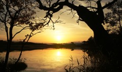 夕陽