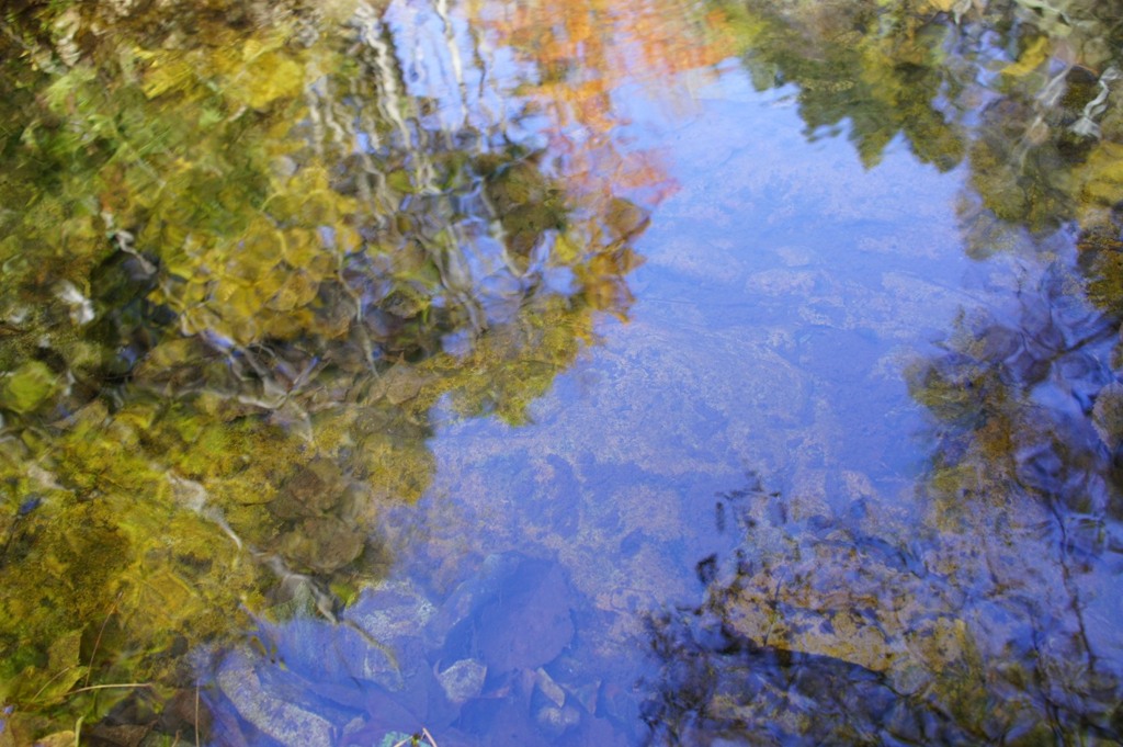 水面