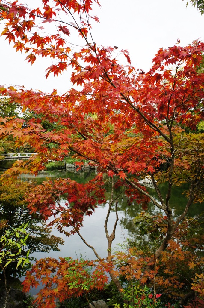永観堂