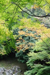 銀閣寺